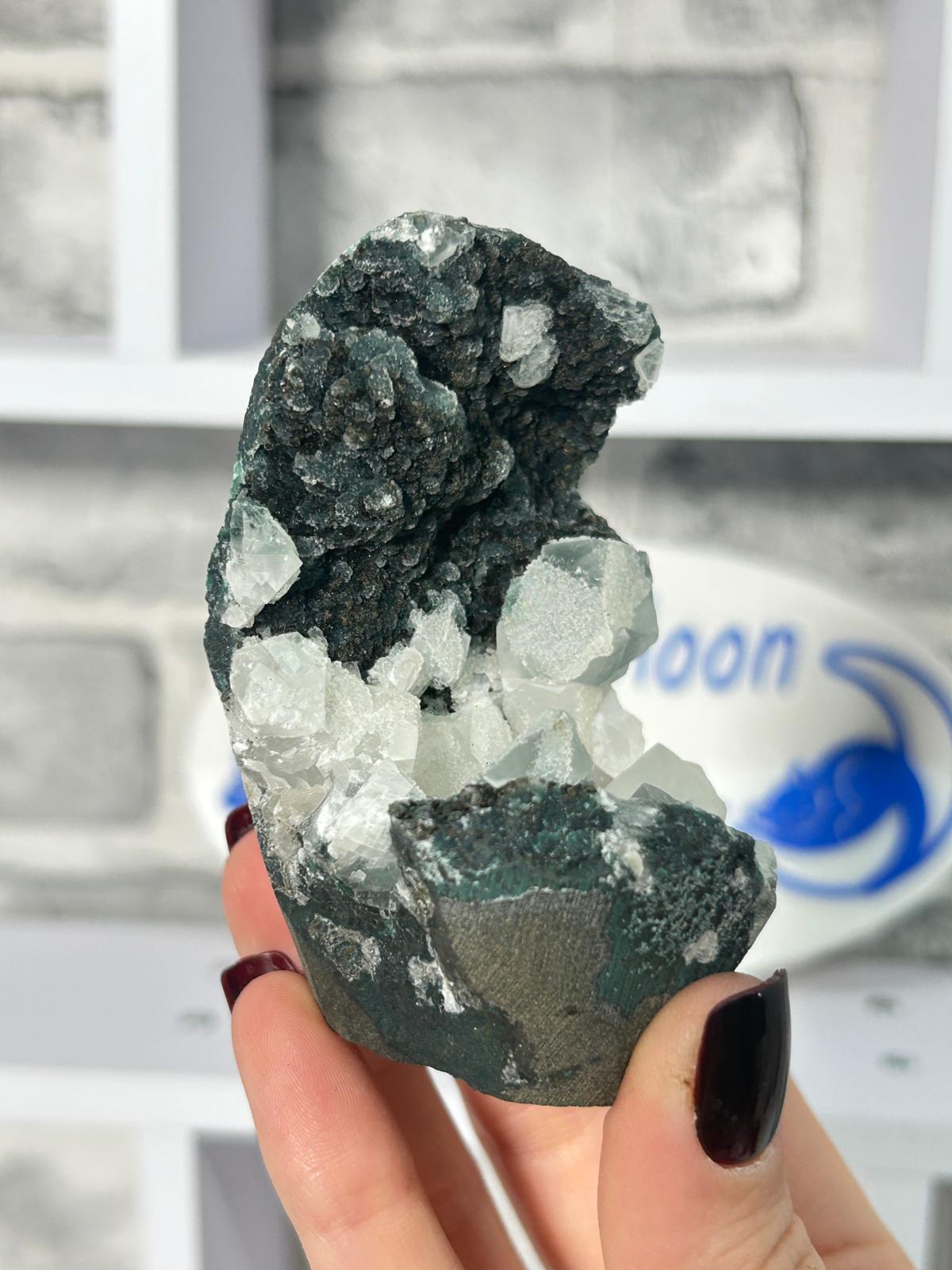 Black Chalcedony with Sugar Druzy & Apophyllite