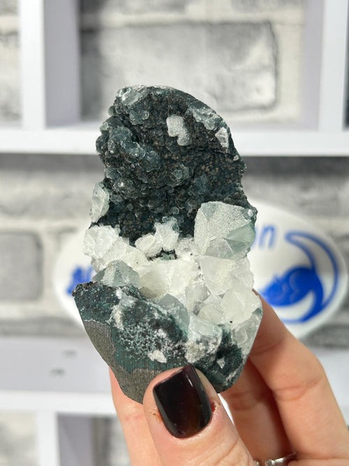 Black Chalcedony with Sugar Druzy & Apophyllite