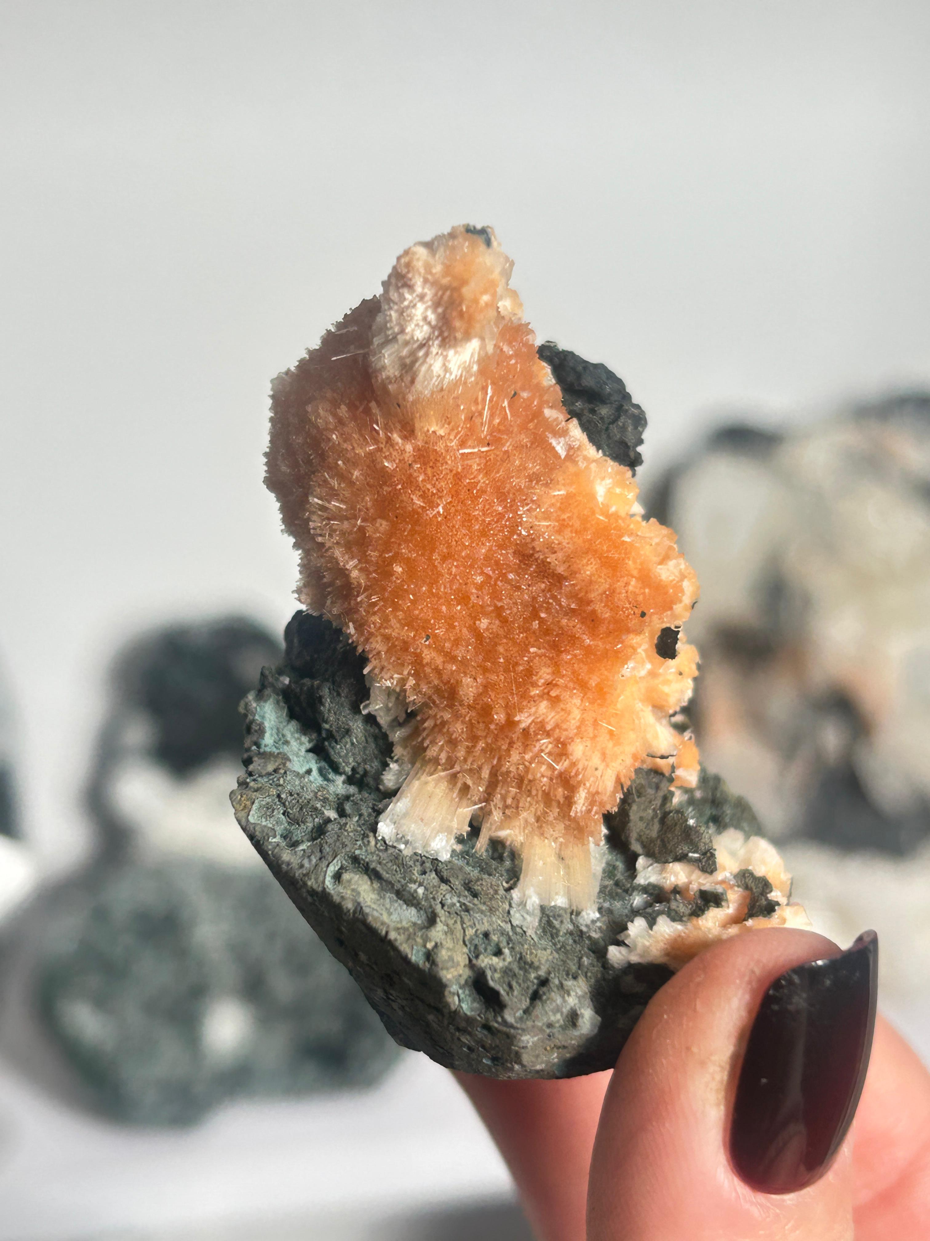 Thomsonite with Mesolite on Matrix #4