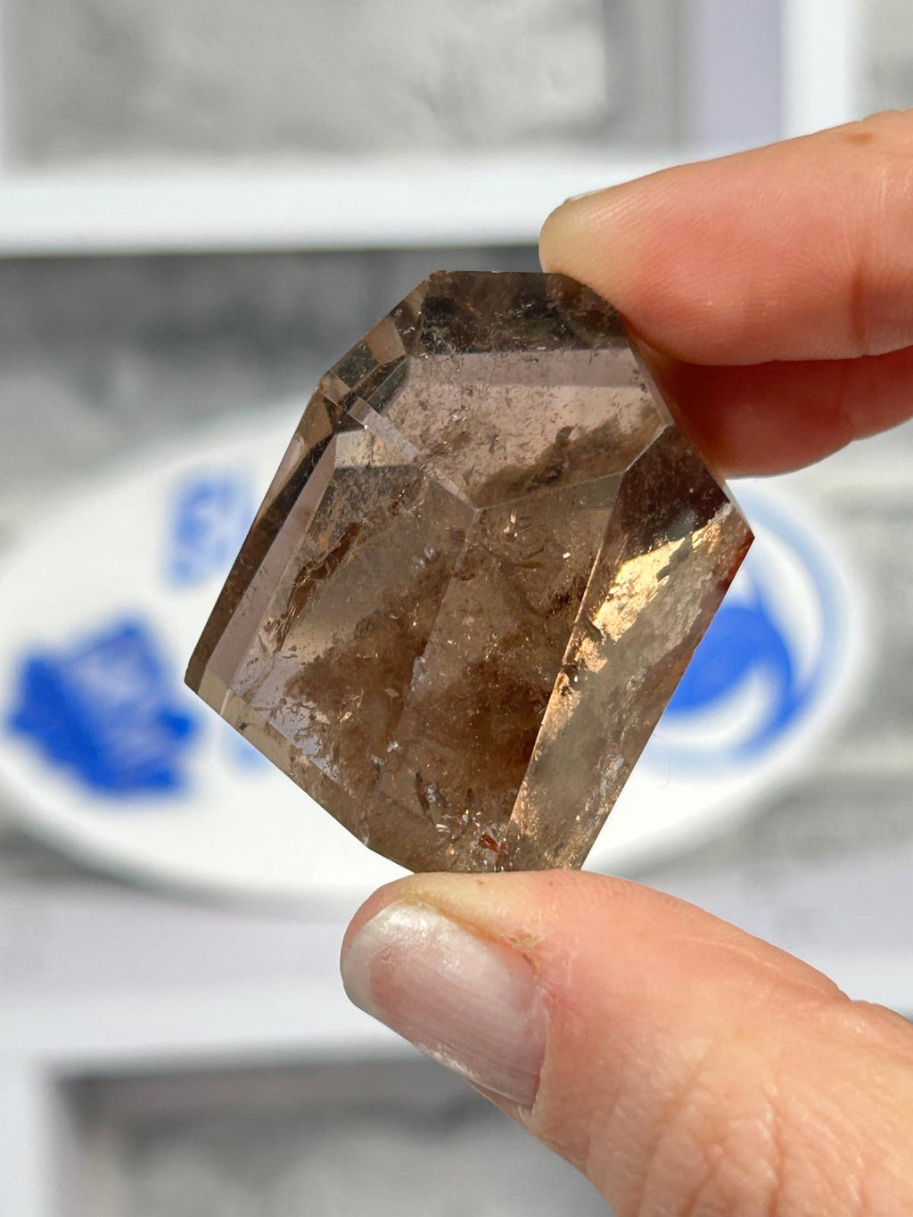 Smoky Garden Quartz Freeform #2