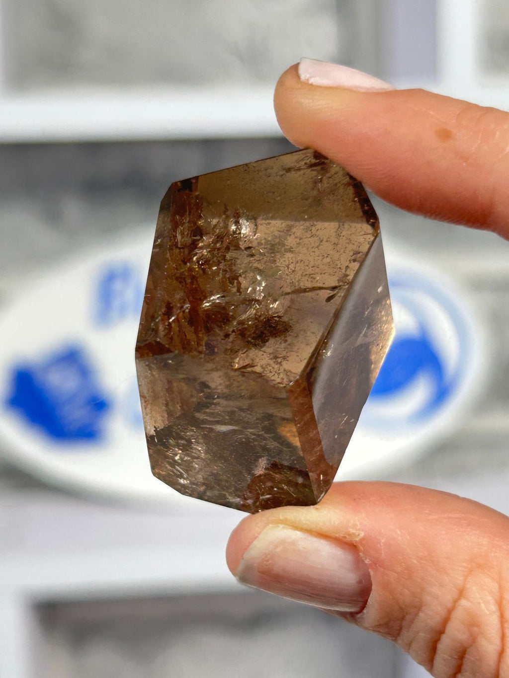 Smoky Garden Quartz Freeform #2