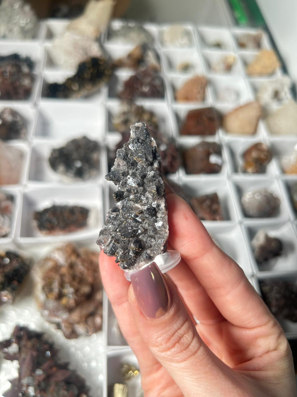 Black Dogtooth Calcite with Pyrite & Hematite #1