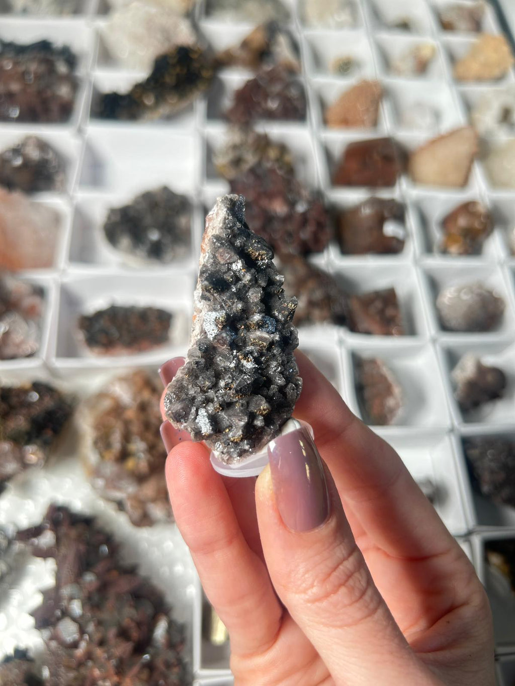 Black Dogtooth Calcite with Pyrite & Hematite #1