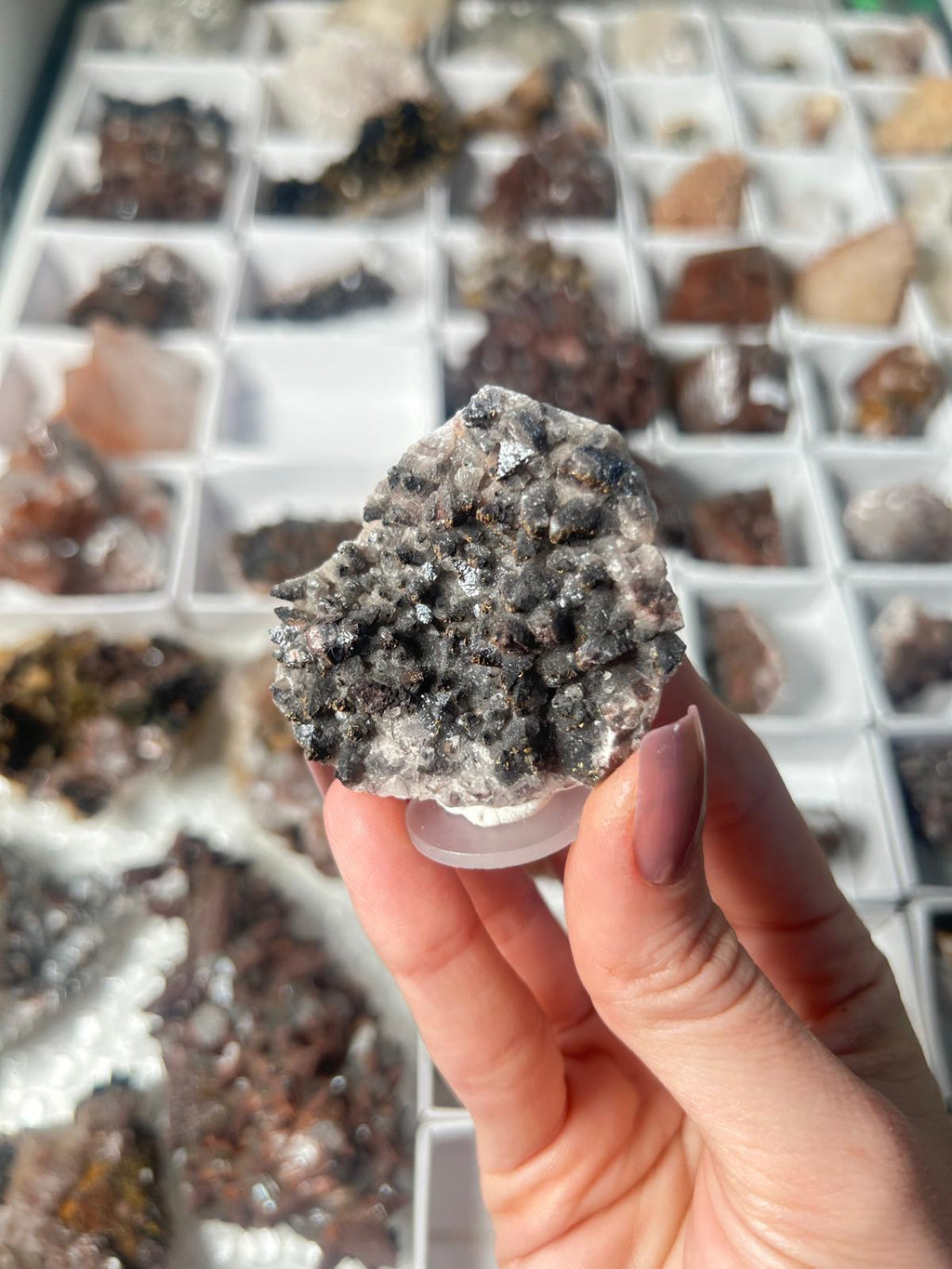 Black Dogtooth Calcite with Pyrite & Hematite #2