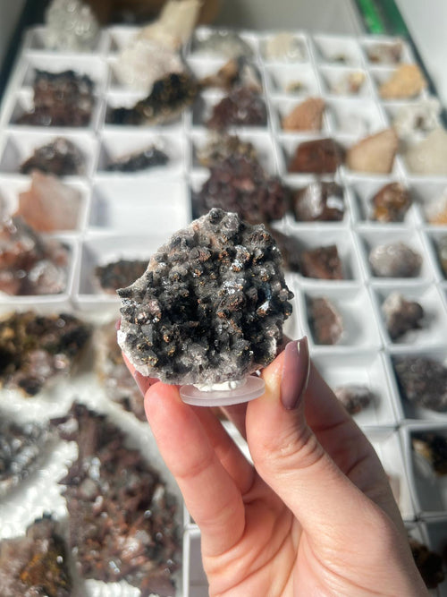 Black Dogtooth Calcite with Pyrite & Hematite #2