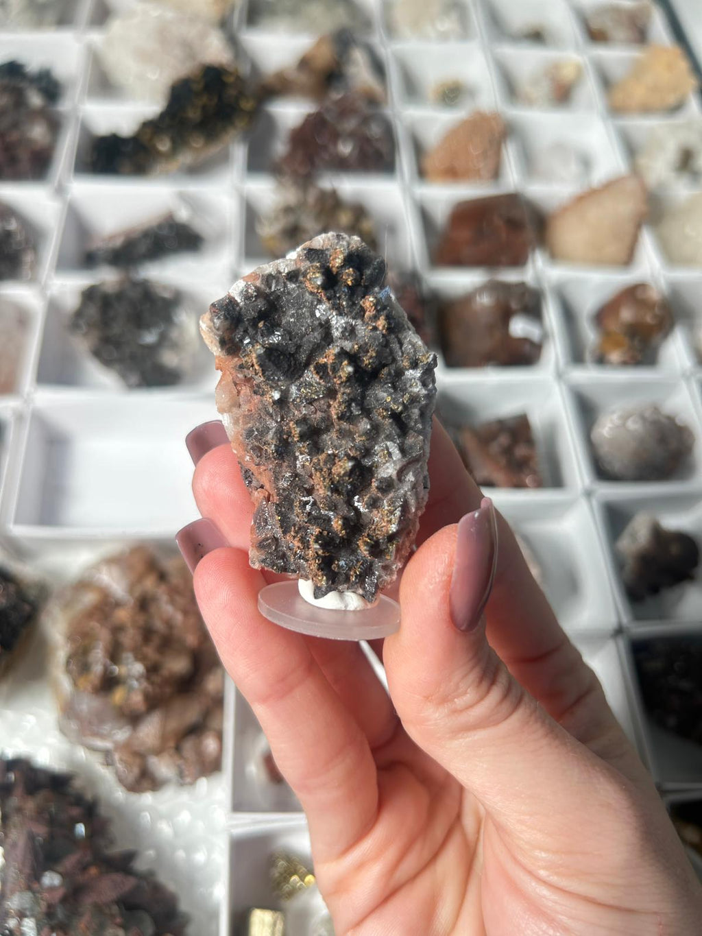 Black Dogtooth Calcite with Pyrite & Hematite #3