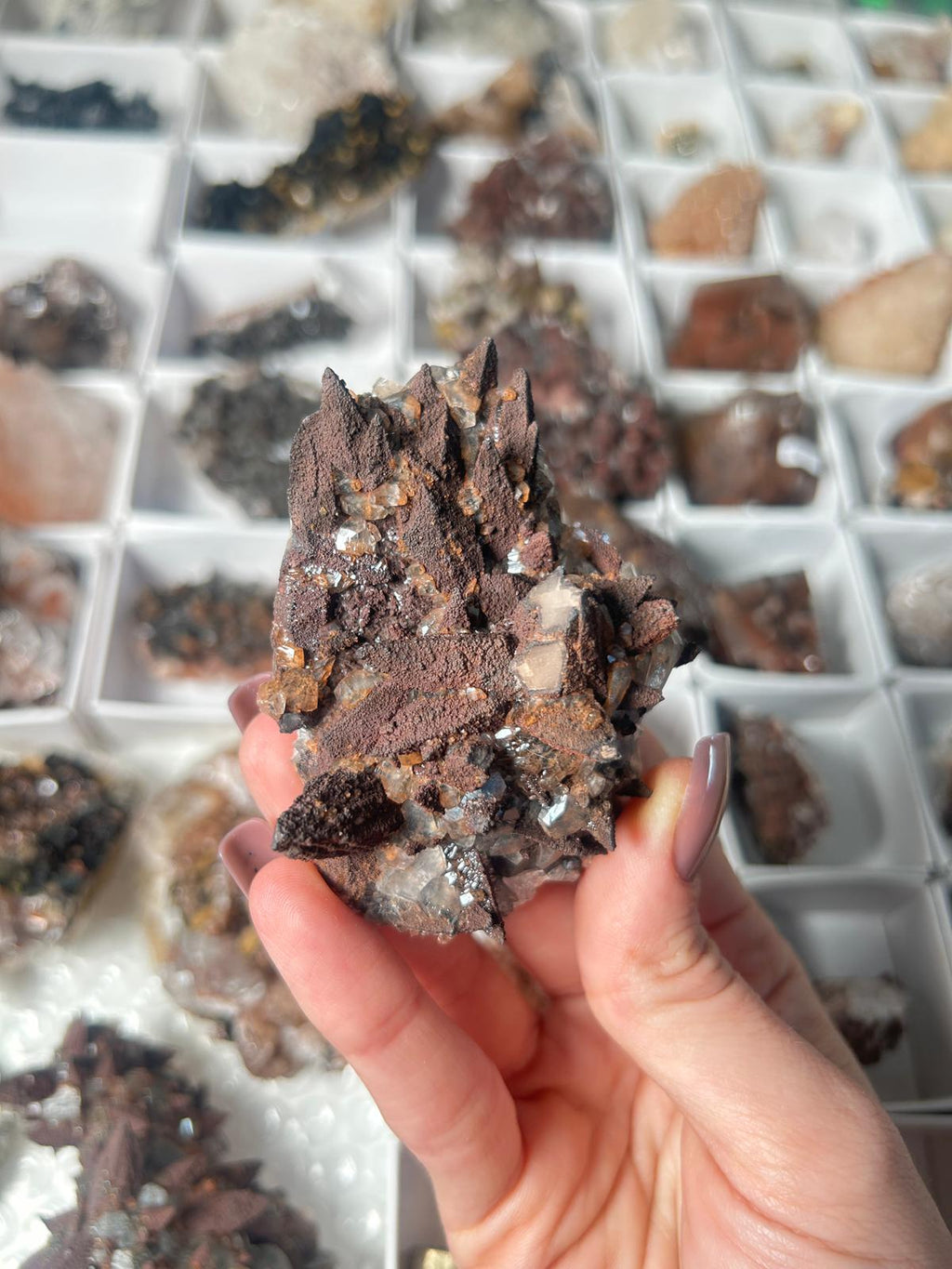 Hematite-Coated Dogtooth Calcite & Diamond Benz Calcite