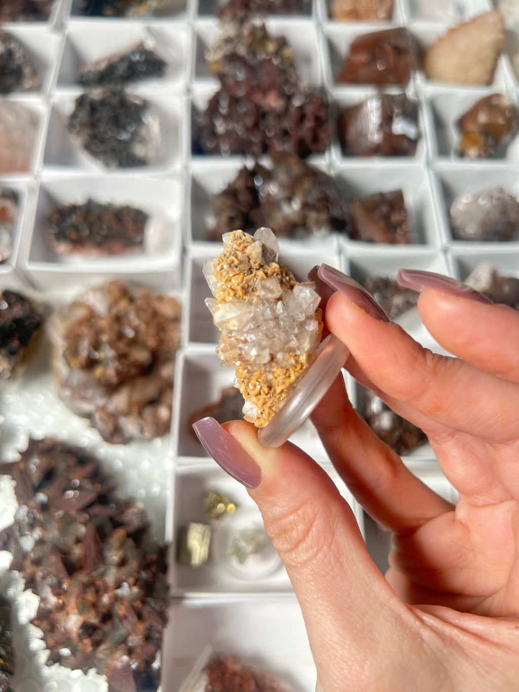 Bicoloured Calcite on Dogtooth Calcite