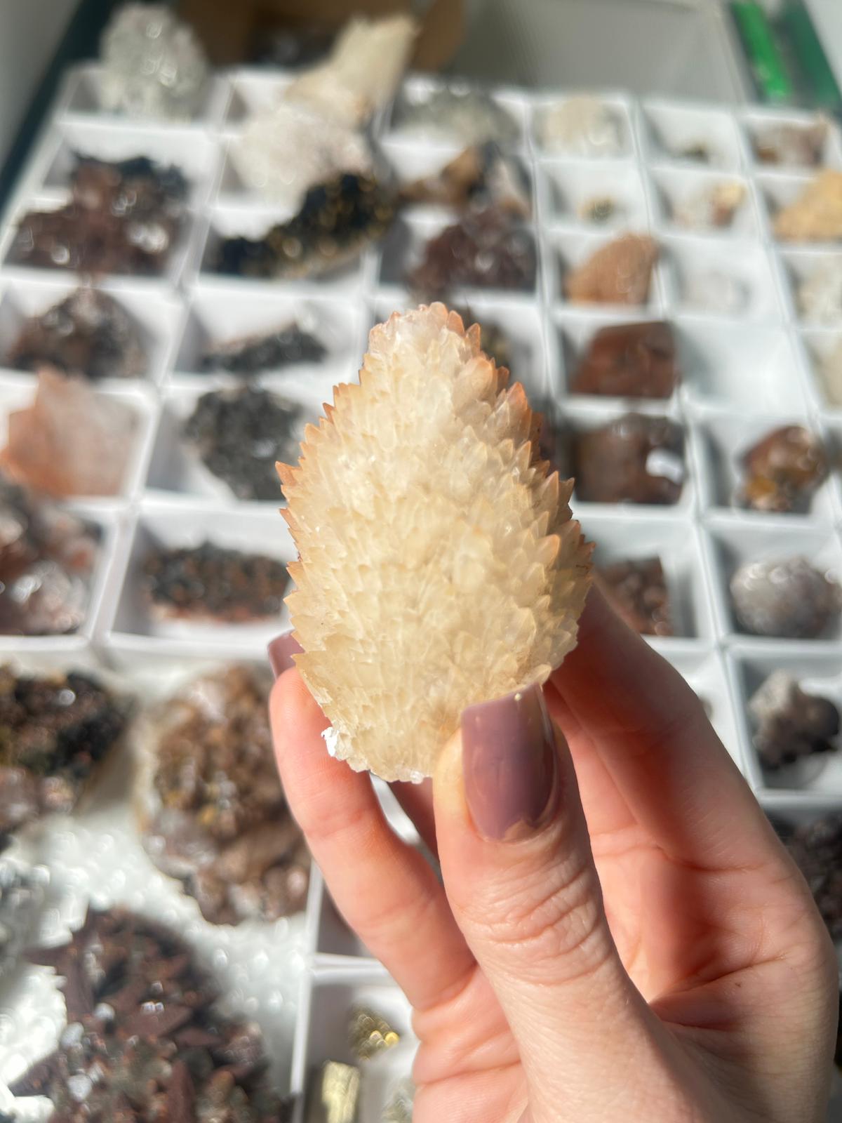 Bicolour Scale Calcite with Hematite