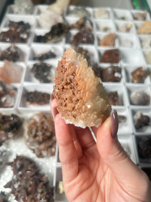 Bicolour Scale Calcite with Hematite