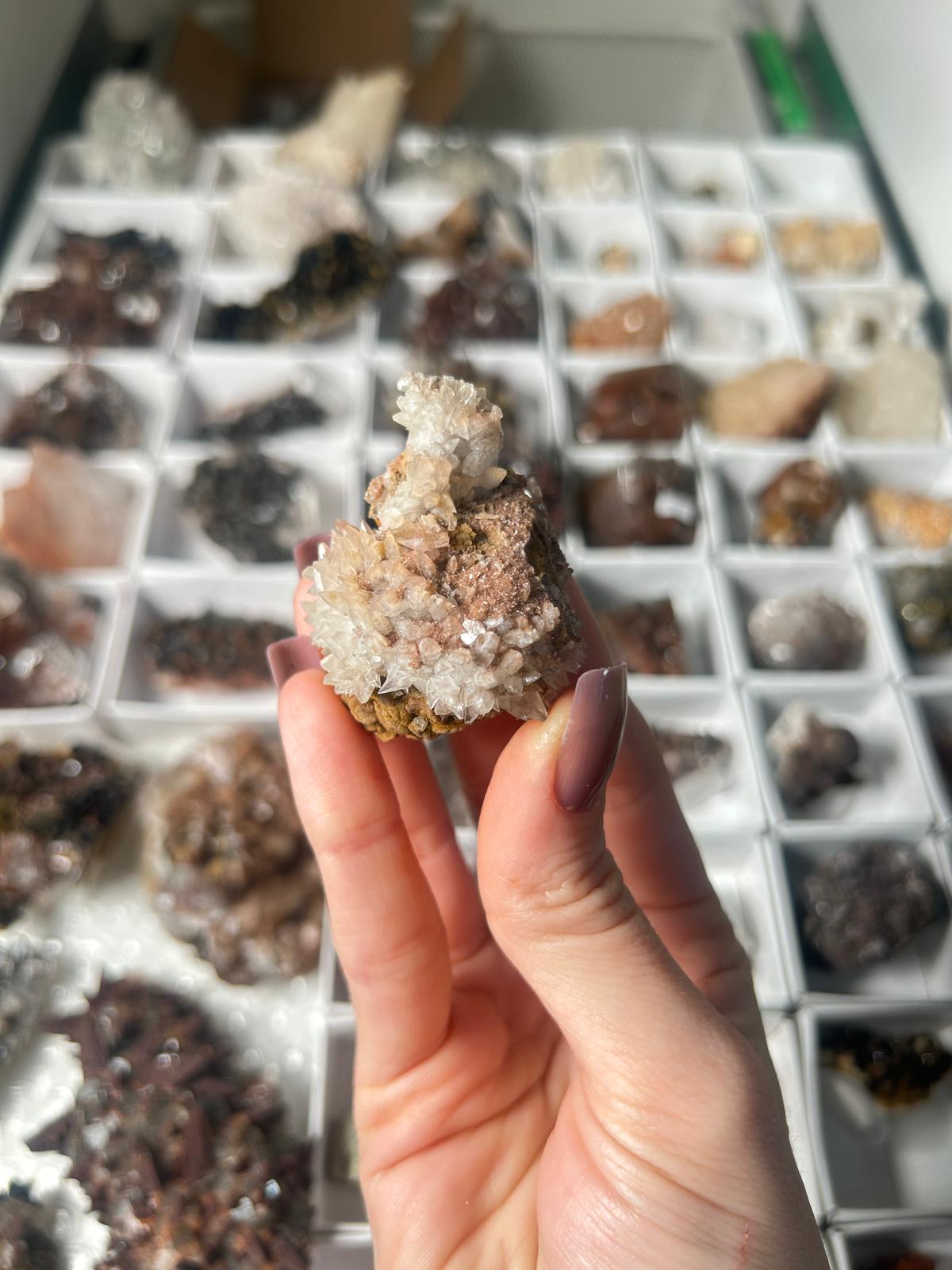 Bicolour Dogtooth Calcite with Hematite