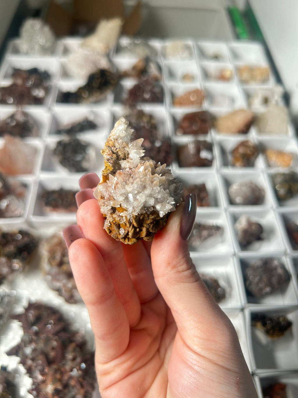 Bicolour Dogtooth Calcite with Hematite