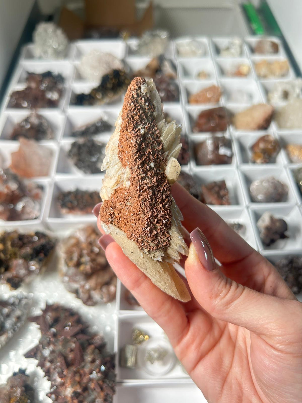 Scale Calcite with Hematite Coating