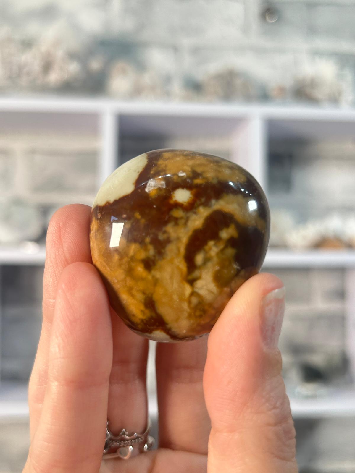 Polychrome Jasper Small Palm #5