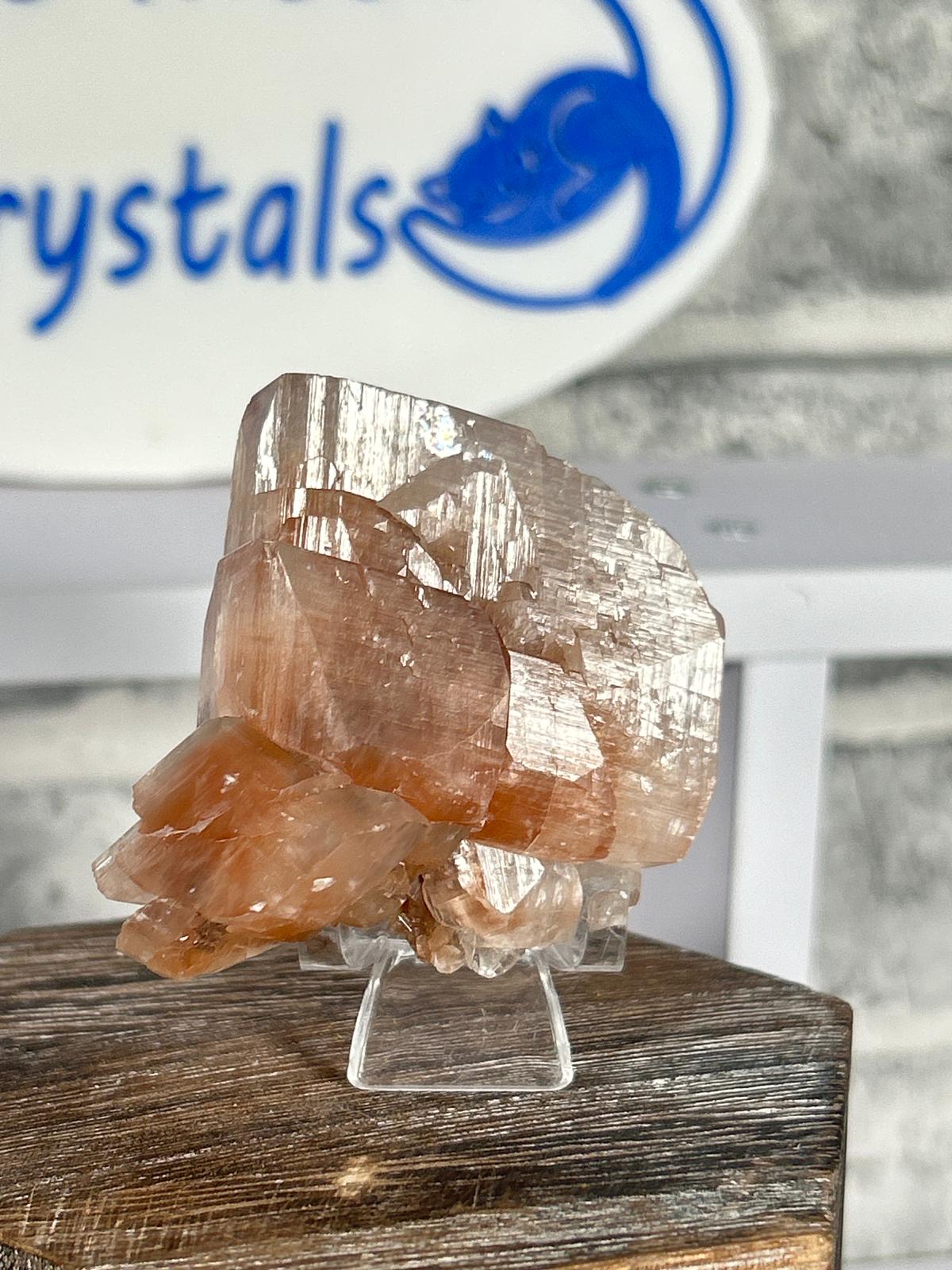 Chocolate Calcite with Hematite Inclusions - 6 Available
