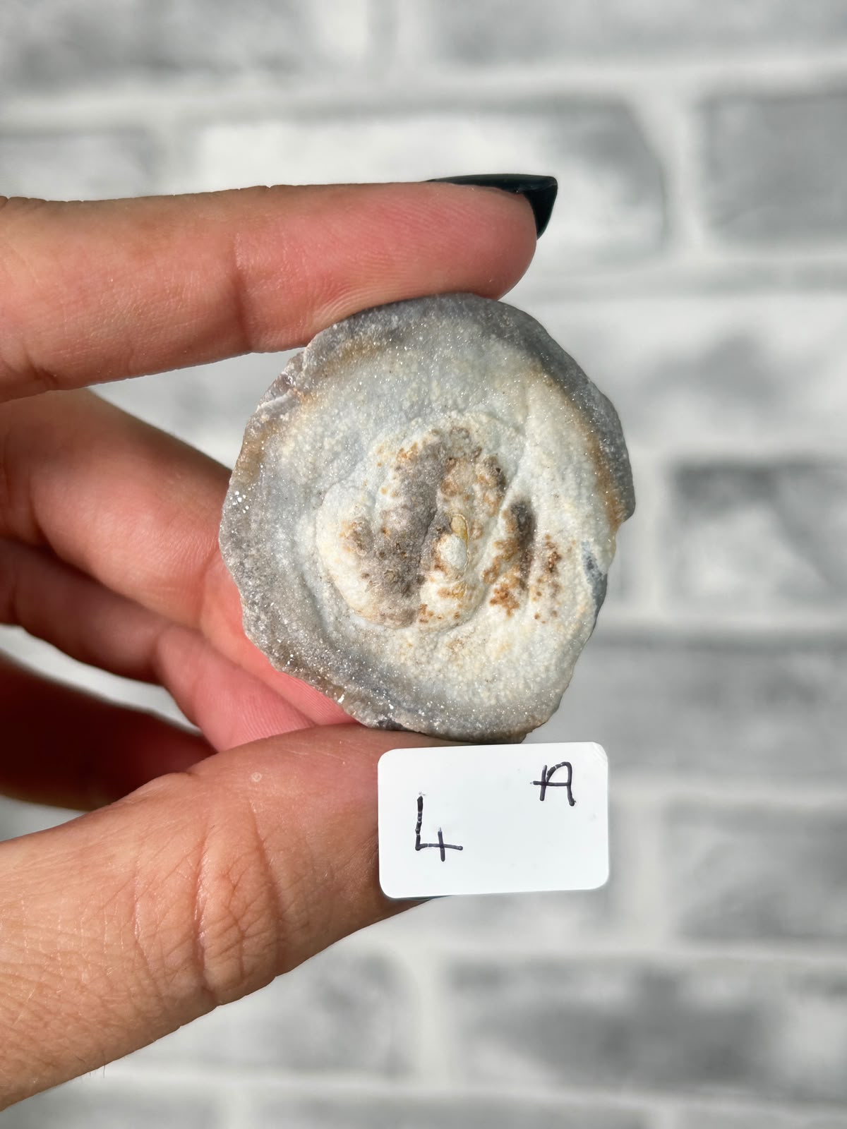 Chalcedony Agate Rosette #1