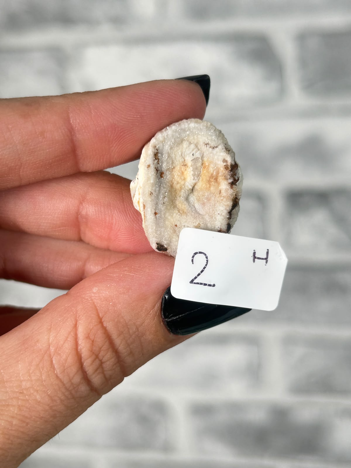 Chalcedony Agate Rosette #8