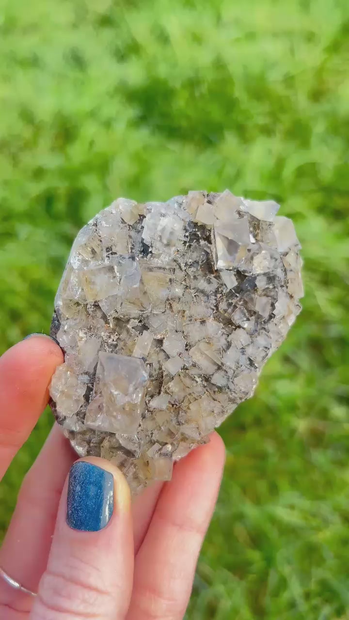 Bull Vein Cluster #2