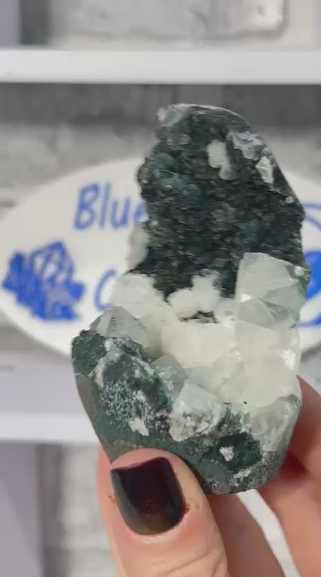 Black Chalcedony with Sugar Druzy & Apophyllite
