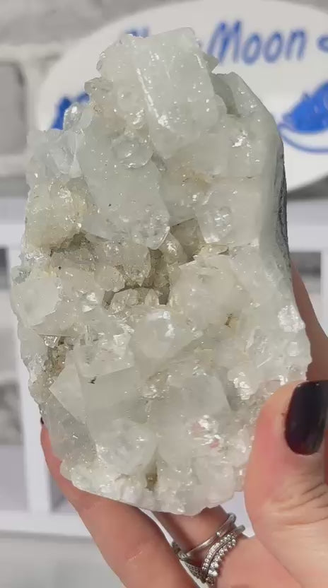 Apophyllite Crystal Cluster