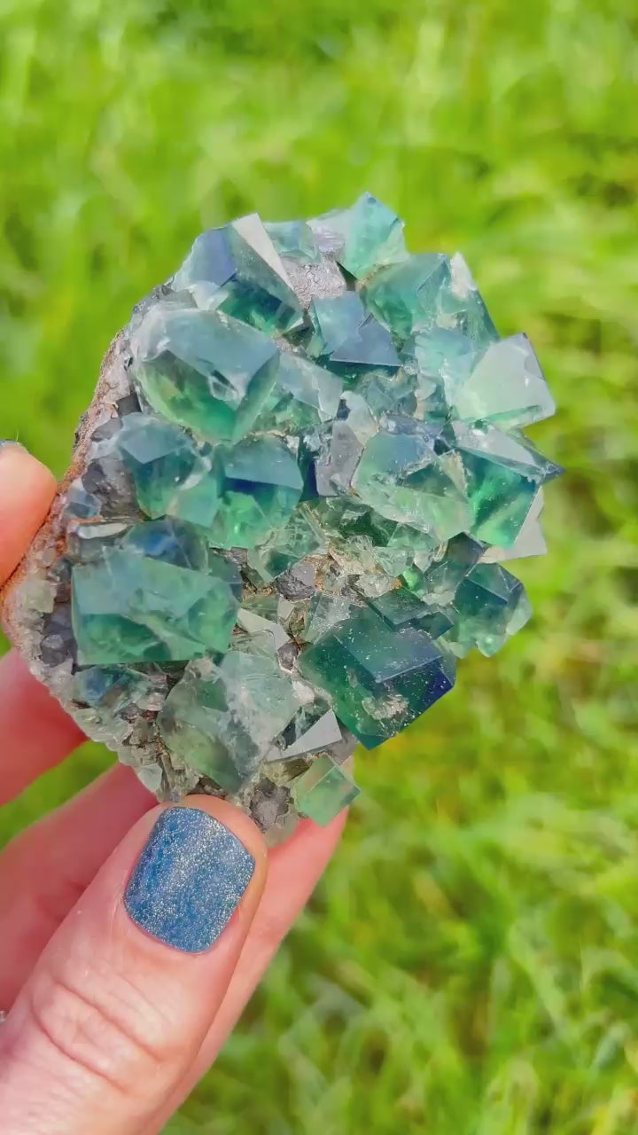 Greedy Hog Raw Fluorite
