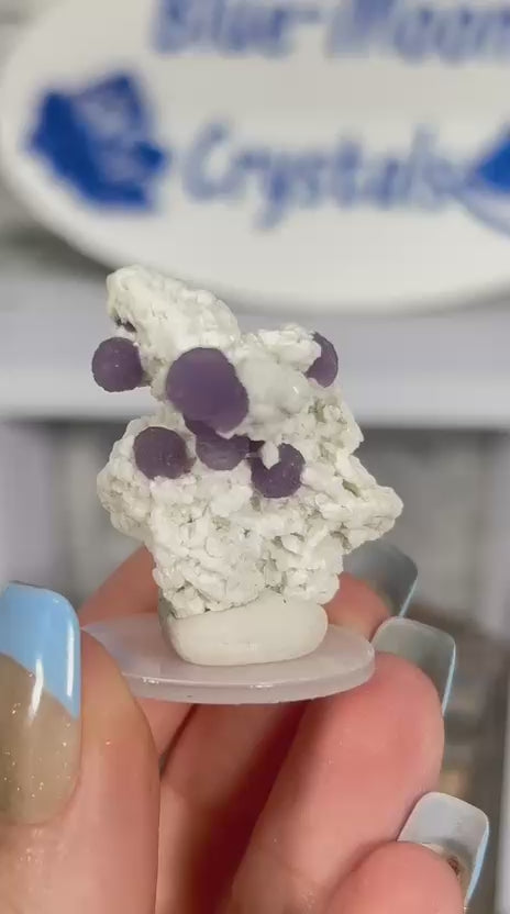 Grape Agate Cluster on Matrix #2