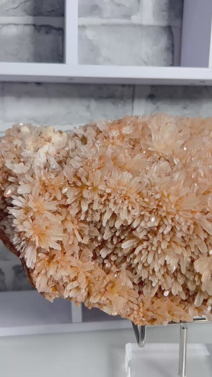 ✨Madagascan Radiating Quartz Cluster – 8kg Statement Specimen