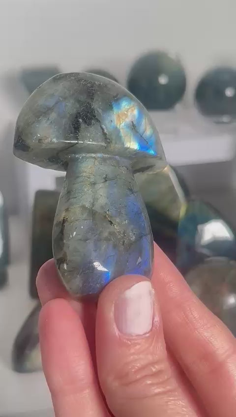 Labradorite Mushroom #2
