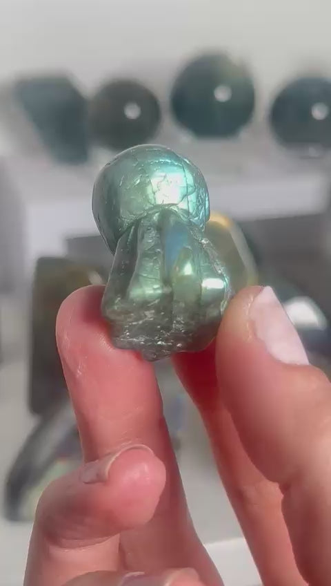 Labradorite Octopus Carving