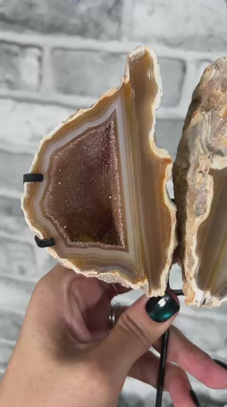 Sumatra Agate Geode on Stand